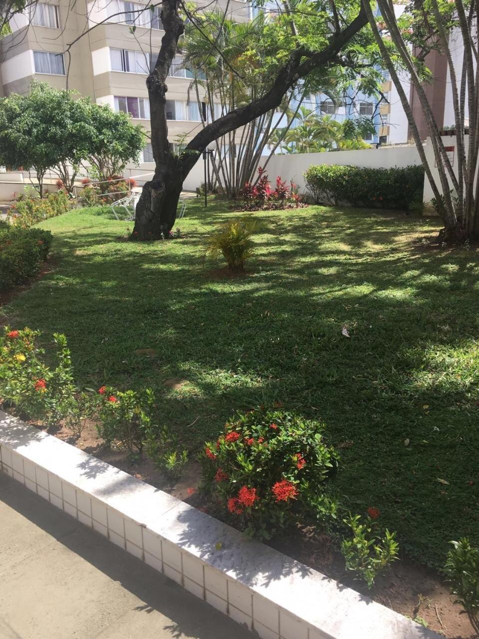 Barra Summer Flat Salvador Exterior foto